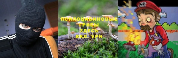 тгк Инсар