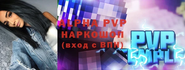 тгк Инсар