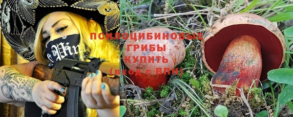 тгк Инта