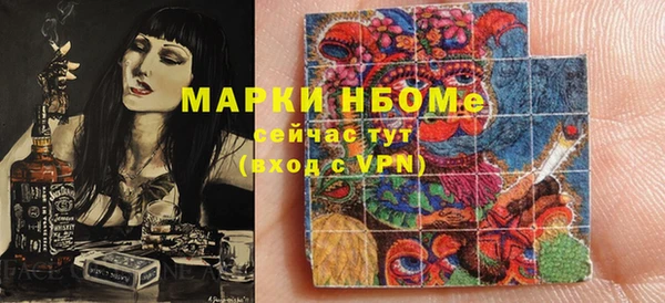 тгк Инсар