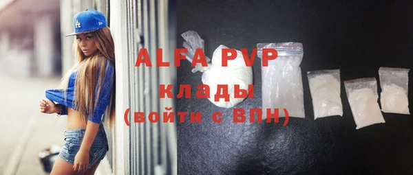 тгк Инсар