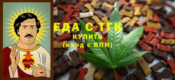 тгк Инсар