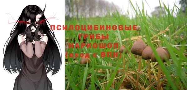тгк Инсар