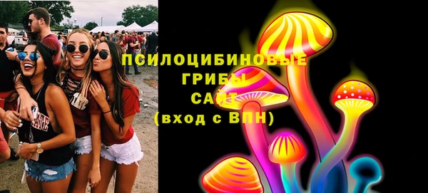 тгк Инта