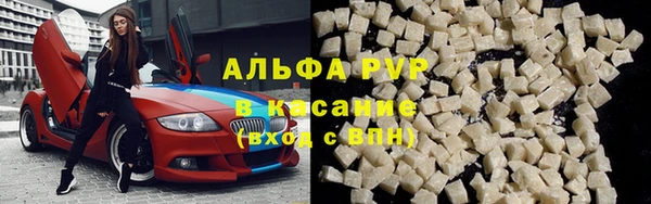 тгк Инсар