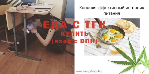 тгк Инсар