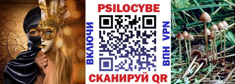 Галлюциногенные грибы GOLDEN TEACHER  Кингисепп 